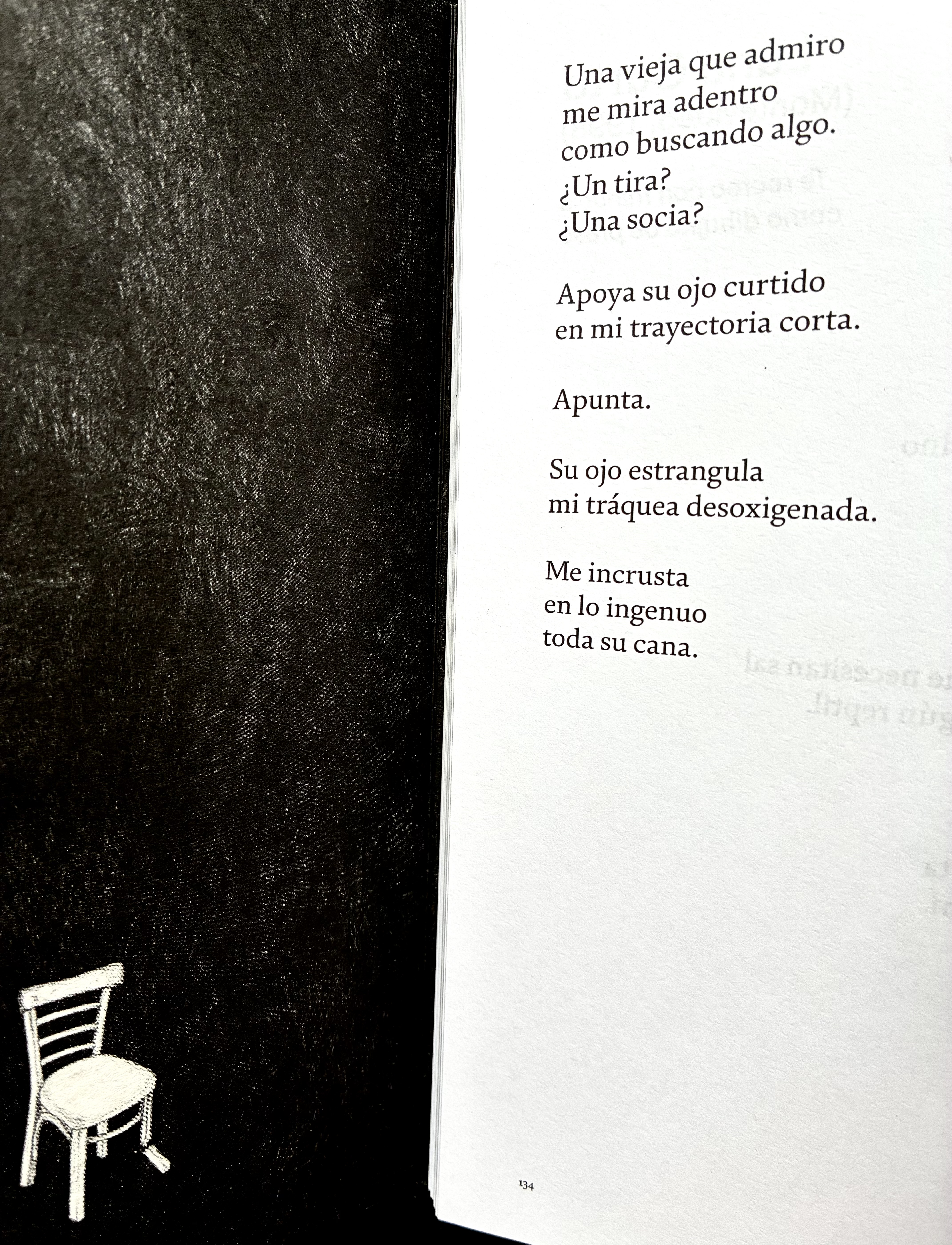 Poemas Luna Curto en Araña la poesía