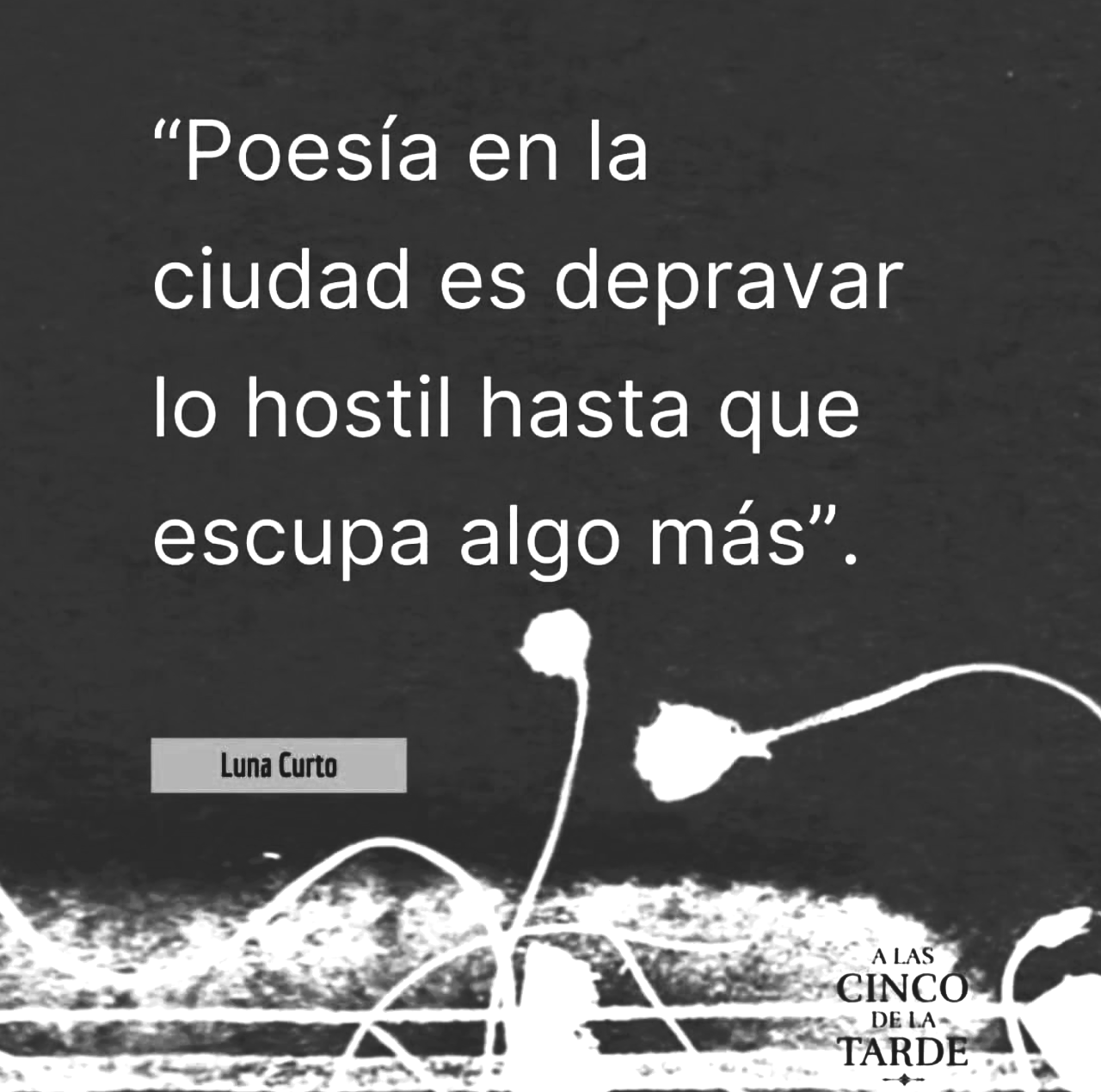 Poetas contemporáneos Universidad de la República