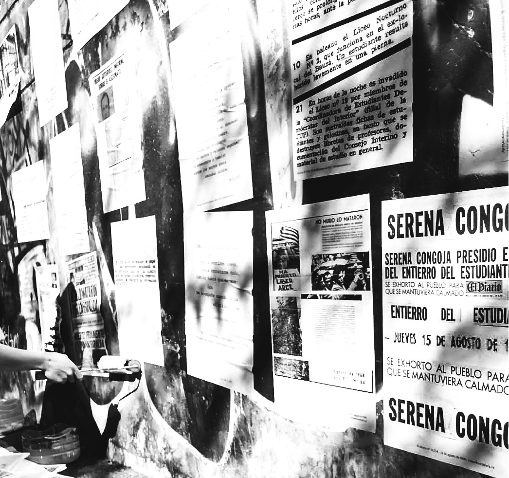 Interrogación gráfica IMPUNE Luna Curto 2023