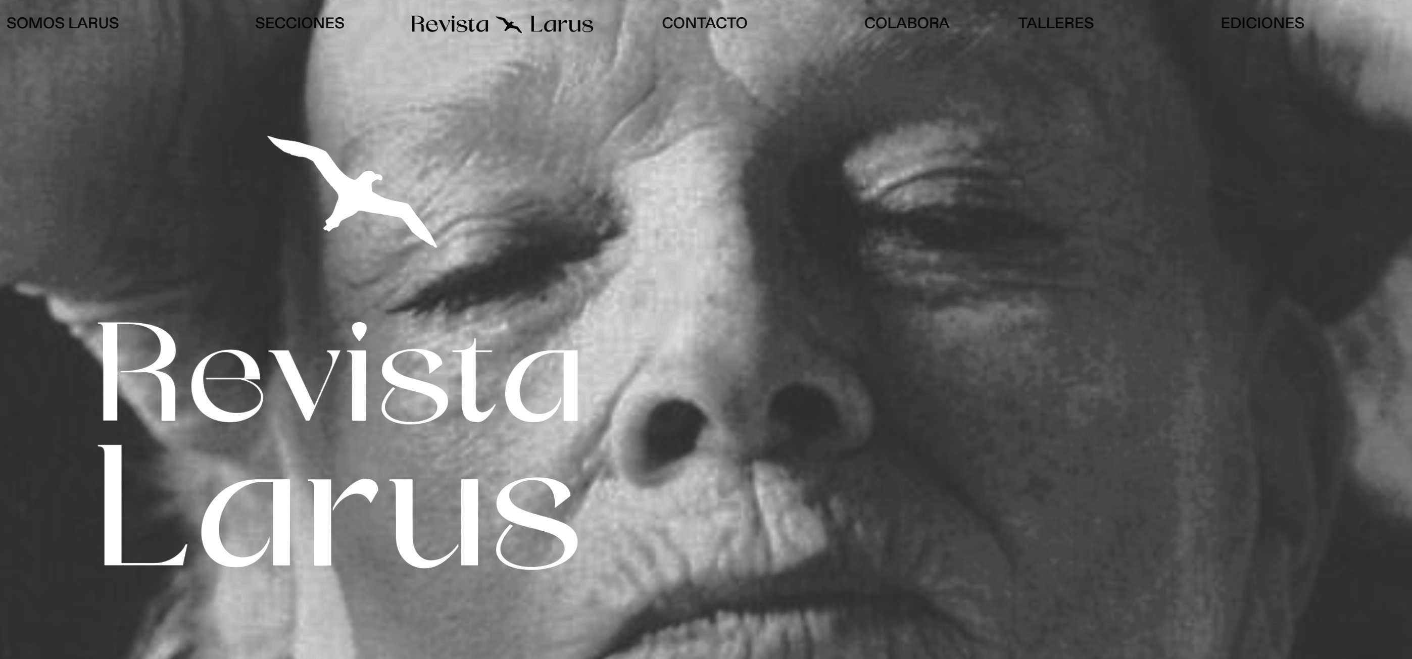 Revista Larus literatura chilena y latinoamericana